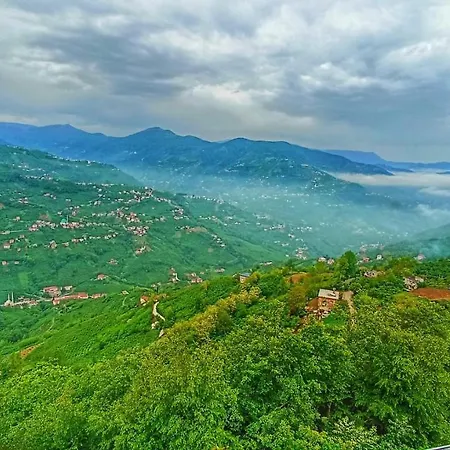 Villa Tepedeki Ev *